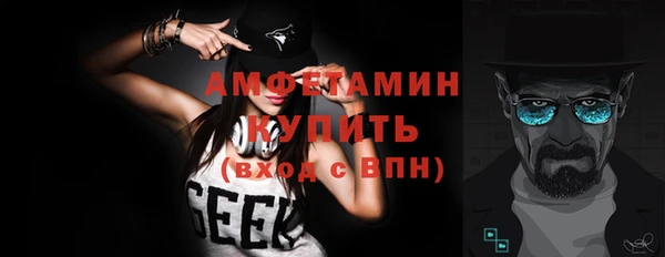 крисы Елабуга