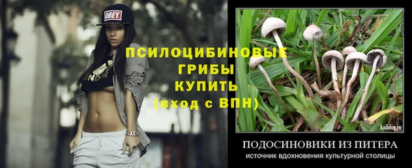 гашик Абдулино